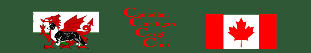 Canadian Cardigan Corgi Club